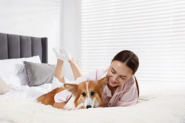 El otro rompecabezas: hoteles que de verdad sean dog-friendly