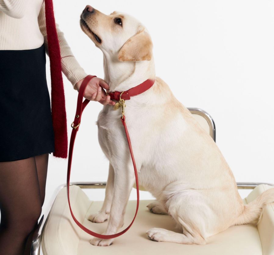 Choose Comfortable Walking Equipment.