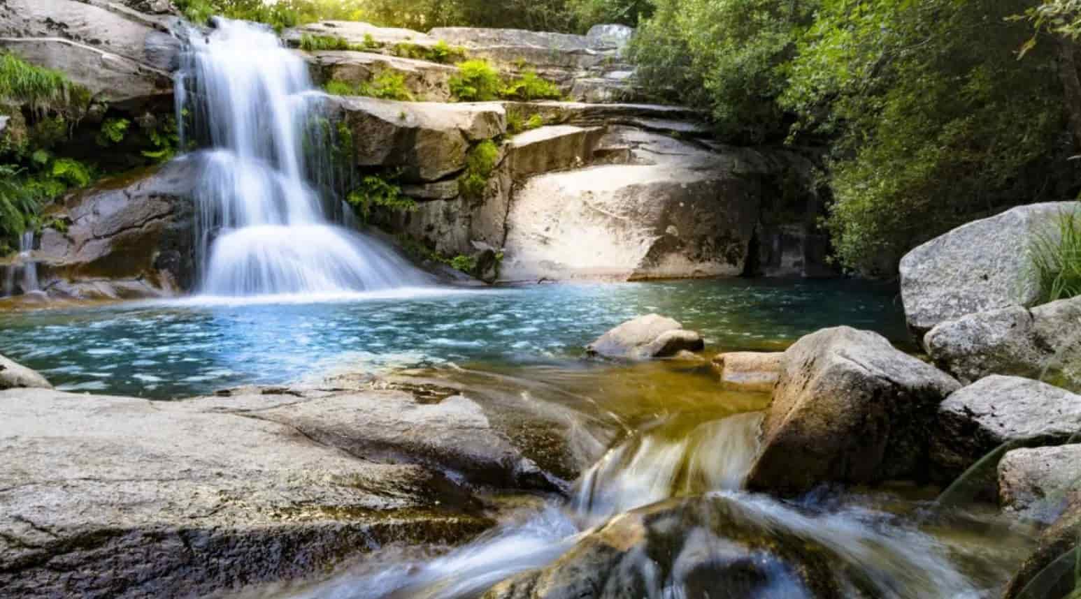 Piscinas naturales con perros