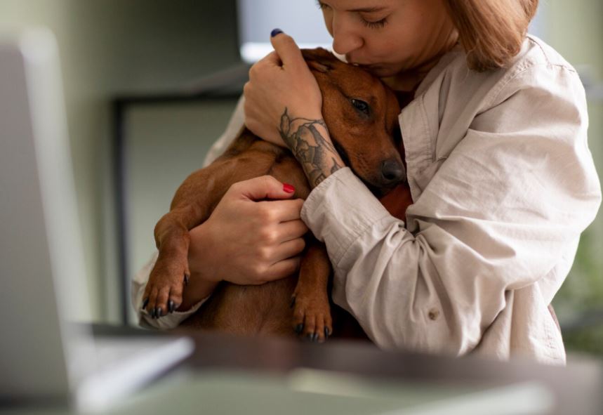 Viajar sin seguro y el riesgo económico real.