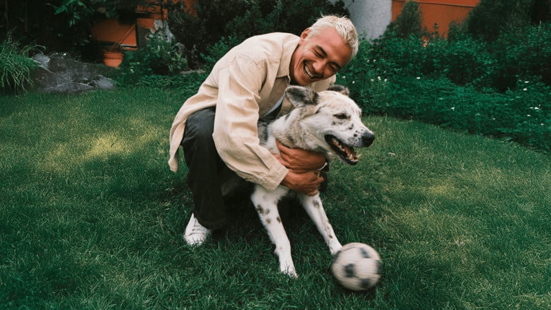 Seguro veterinario