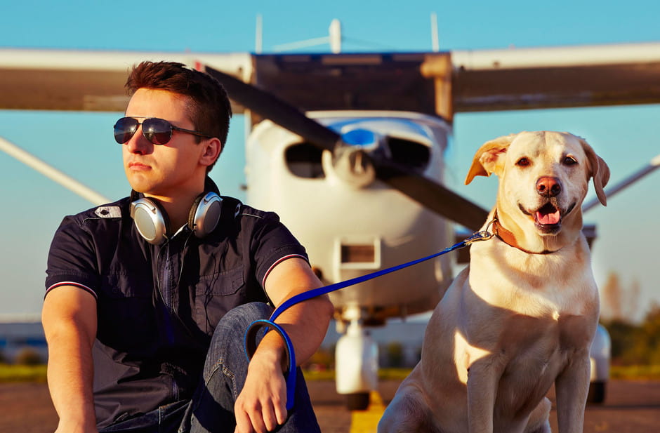 Viajar con perro en avión