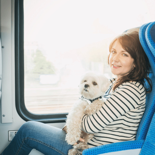 viajar con perro en tren